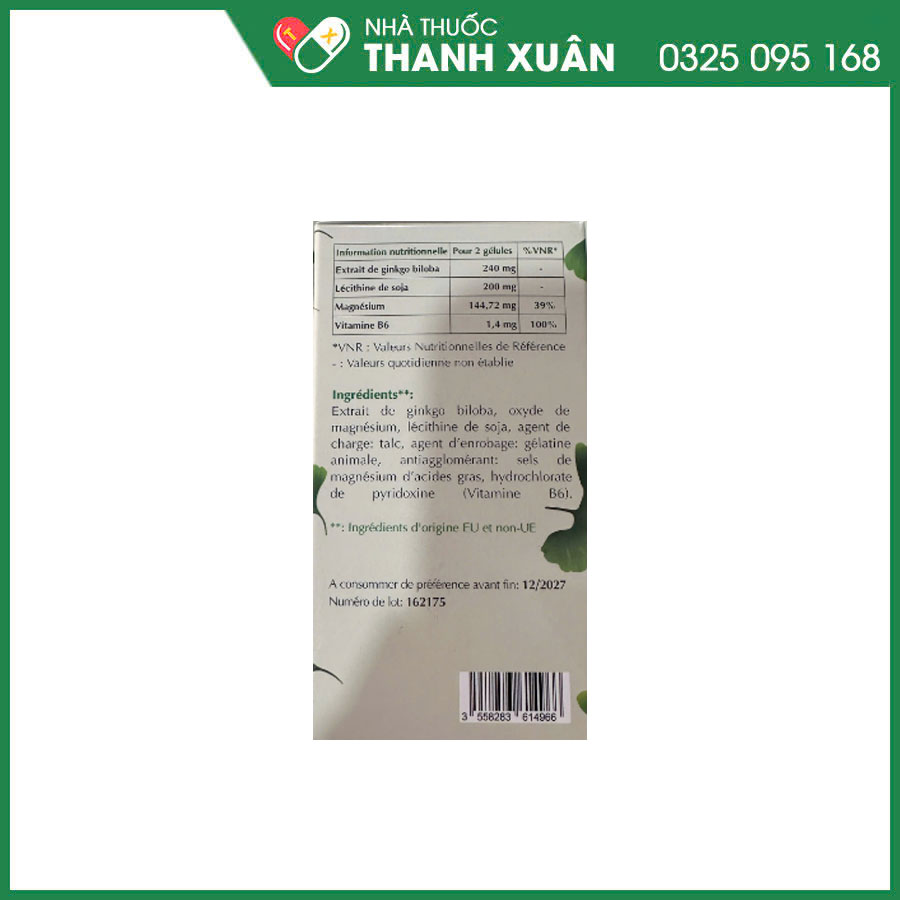 E Ginkgo Magnesium hỗ trợ tăng cường trí nhớ, cải thiện các triệu chứng của thiểu năng tuần hoàn não như chóng mặt, ù tai, nhức đầu